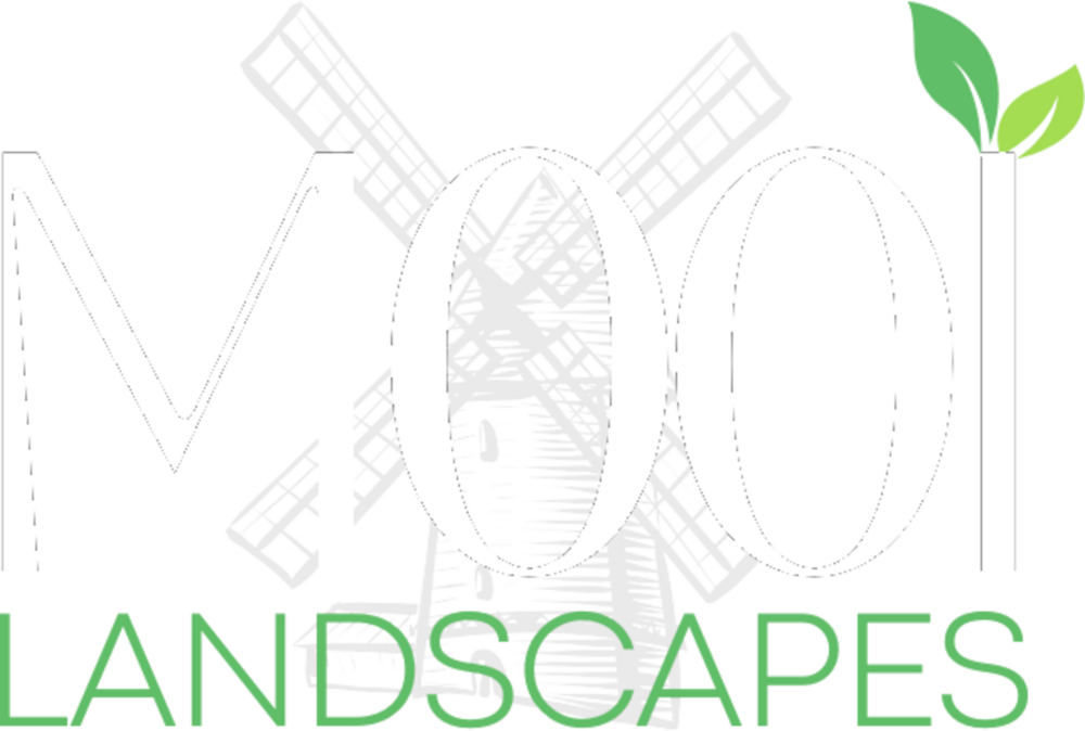 Mooi Landscapes