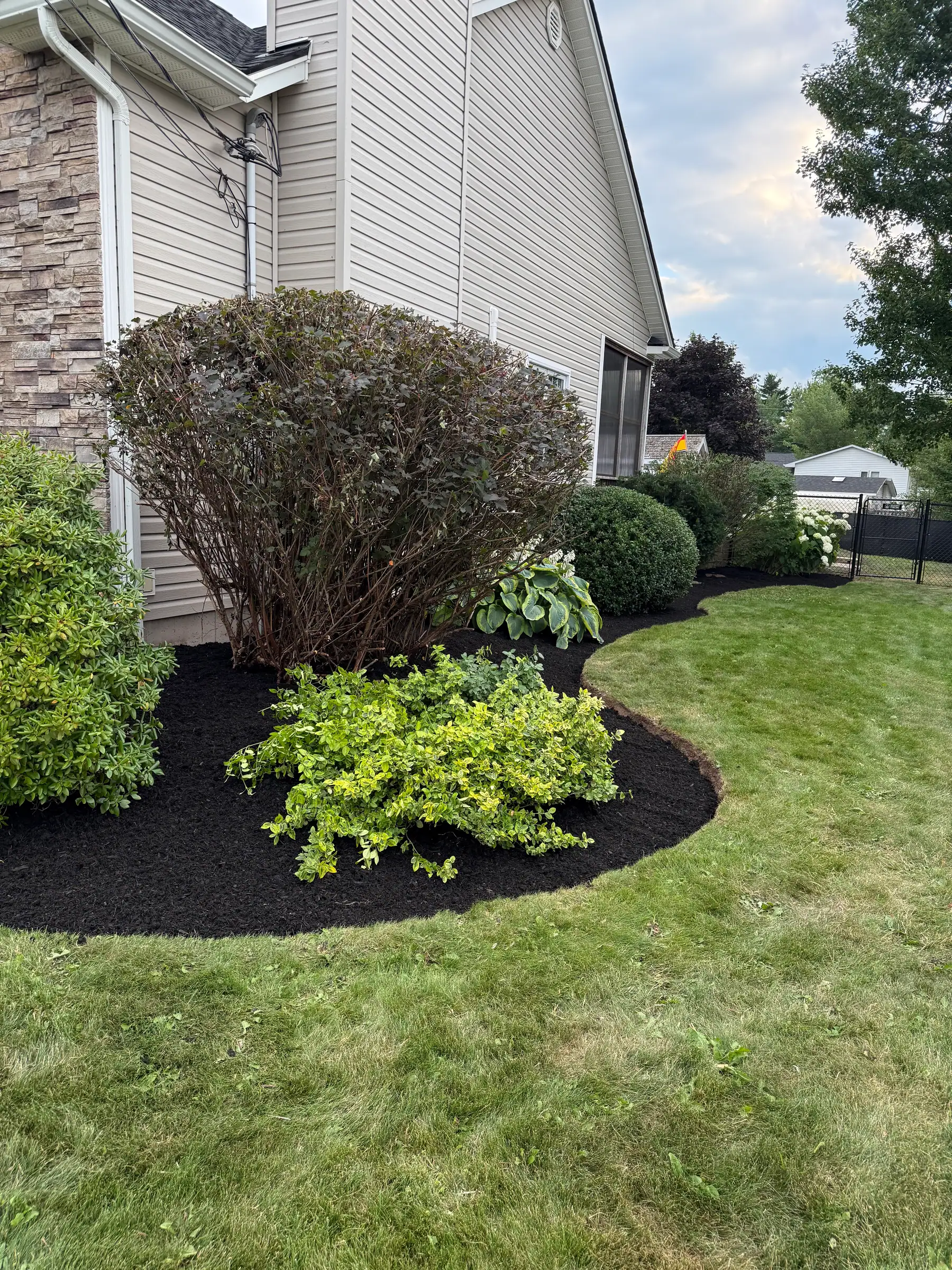Layered shrub border in black mulch along the side of a house, with a curved edge to the lawn